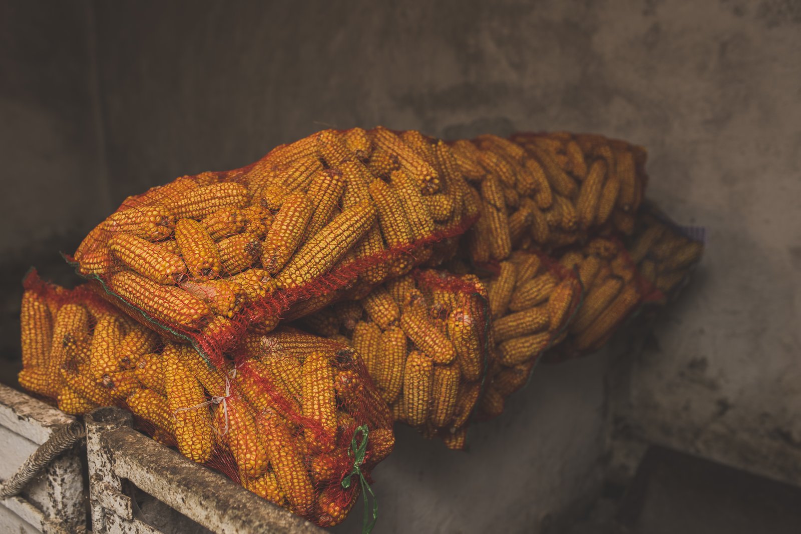 Evolution des prix du maïs au Benin : bilan du premier trimestre 2026